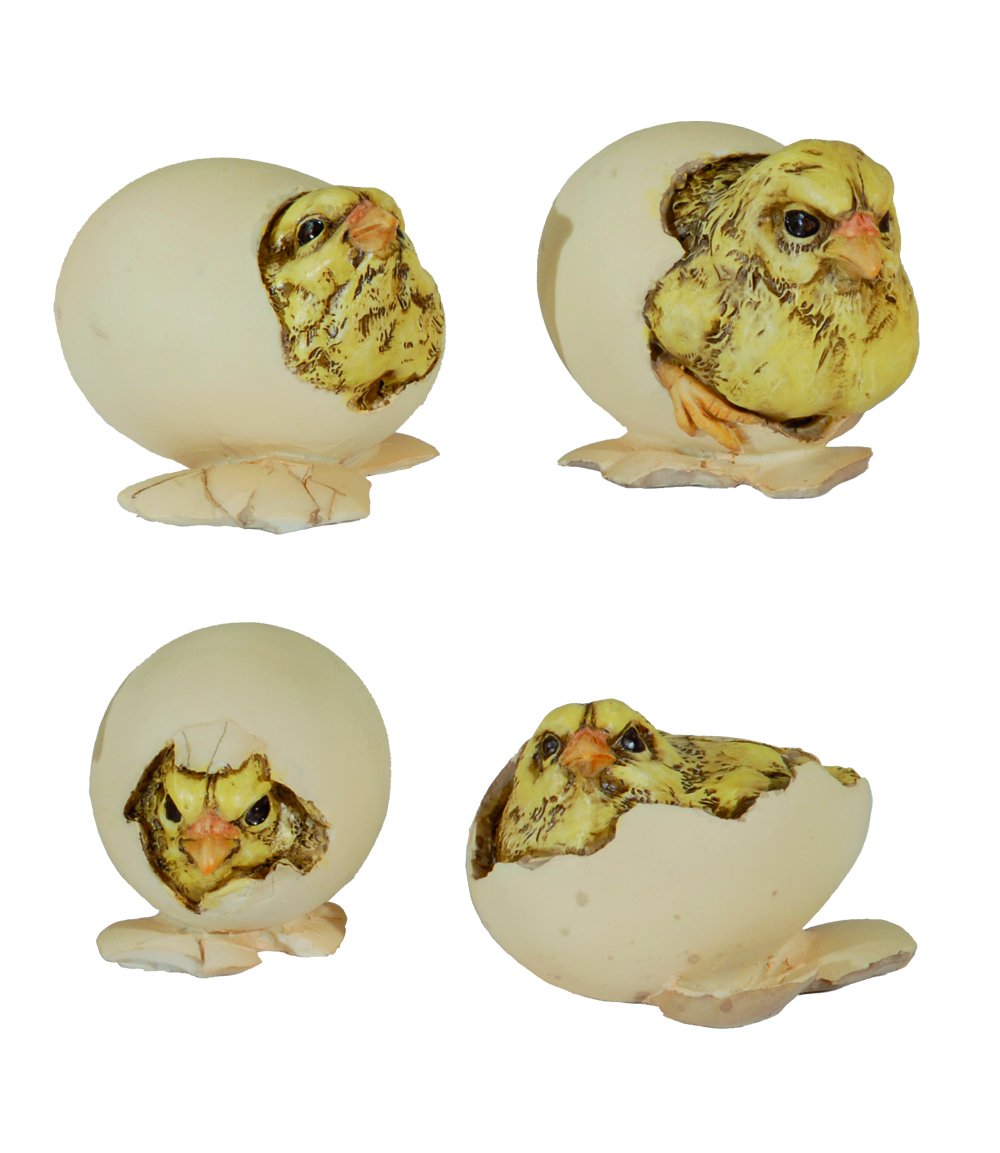 Natural Coll. Pulcino nel uovo 5cm, 4 pezzi